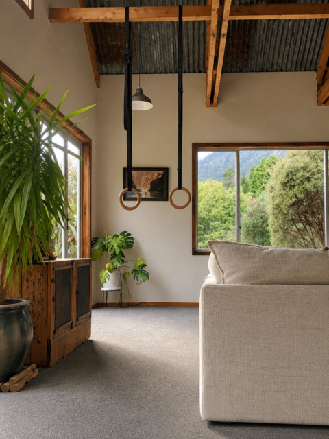 Shows a lounge, you can see the back of a cream sofa, there's a plant to its left and a window in the background with a view out to the garden